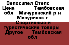 Велосипел Стелс 710 › Цена ­ 5 000 - Тамбовская обл., Мичуринский р-н, Мичуринск г. Спортивные и туристические товары » Другое   . Тамбовская обл.